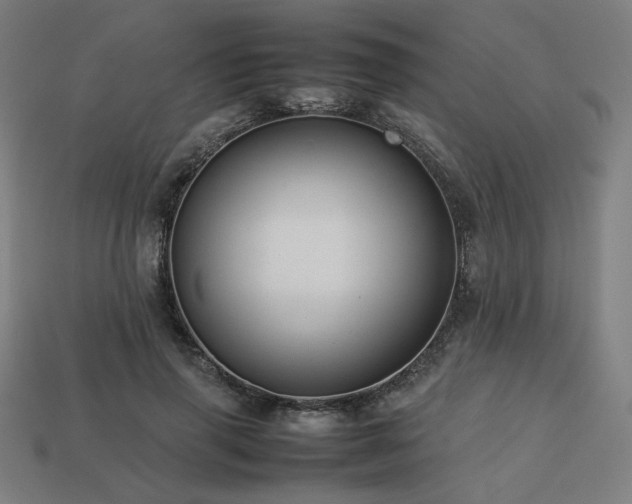X0000113760645200909231206