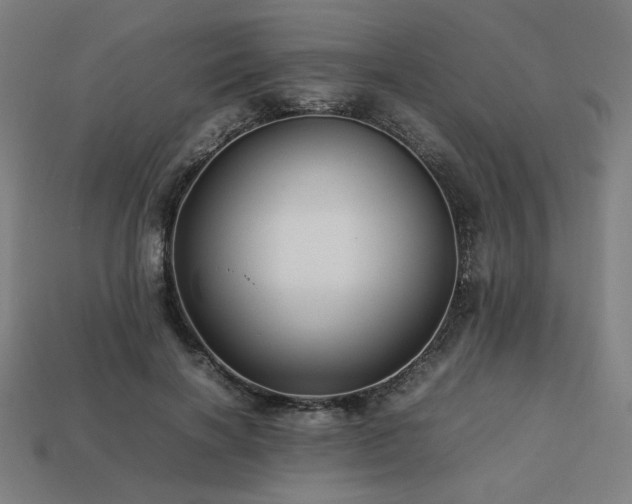 X0000113760646200909231206