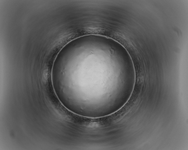 X0000113760647200909231206