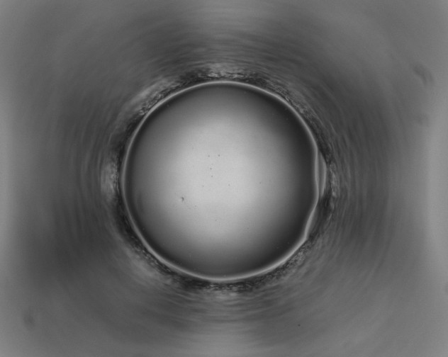 X0000113760648200909231206