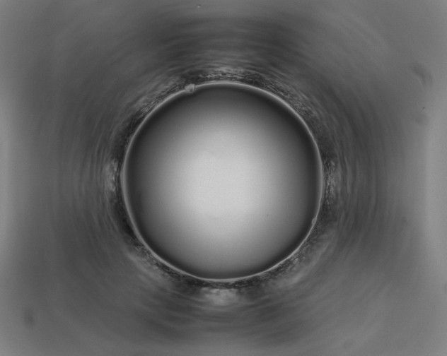 X0000113760649200909231206
