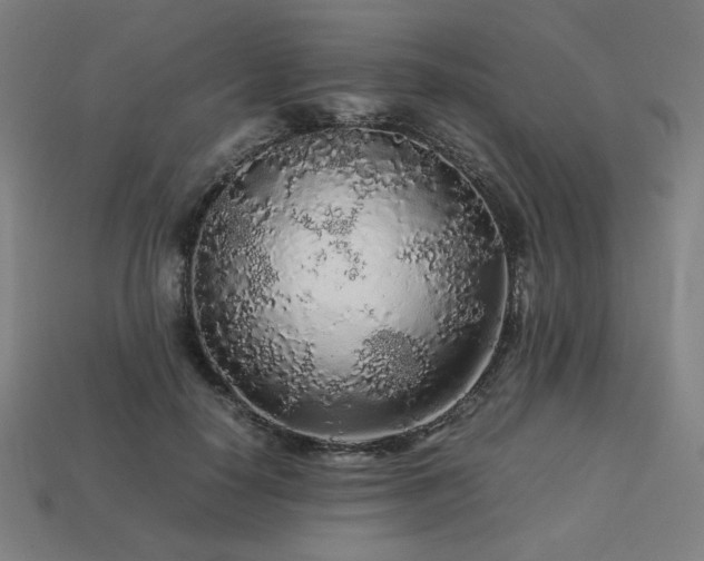 X0000113760650200909231206