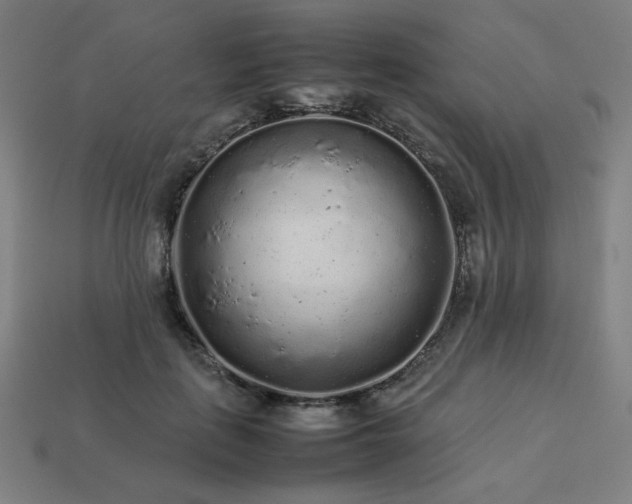 X0000113760651200909231206