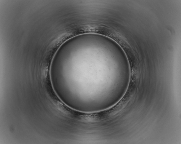 X0000113760652200909231206