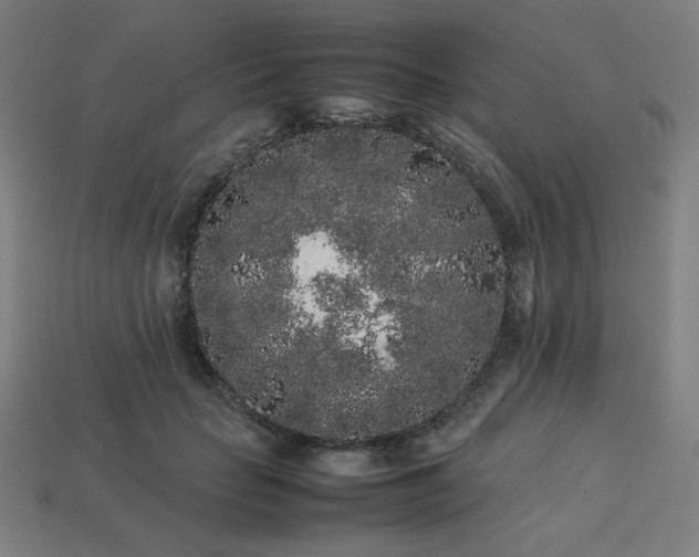 X0000113760653200909231206