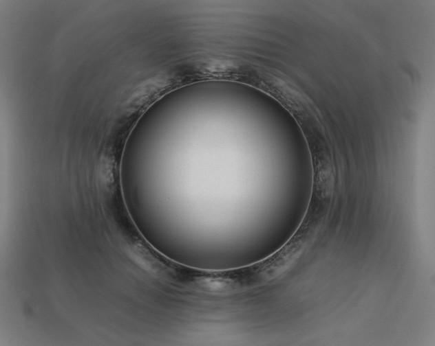 X0000113760654200909231206