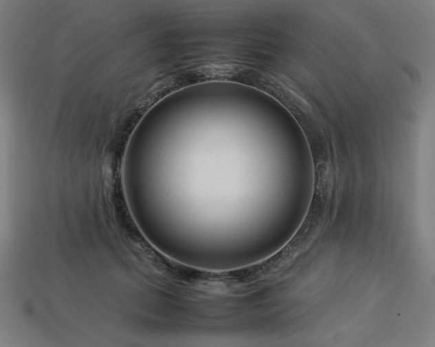X0000113760655200909231206