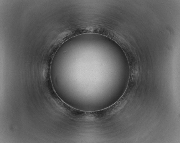 X0000113760656200909231206