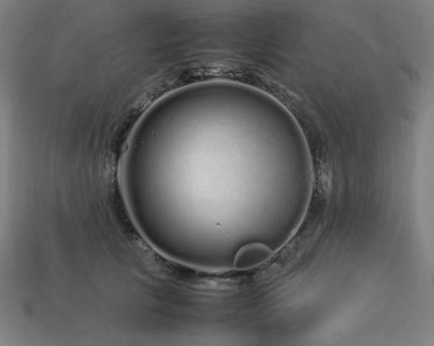 X0000113760657200909231206