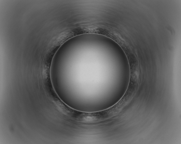 X0000113760658200909231206