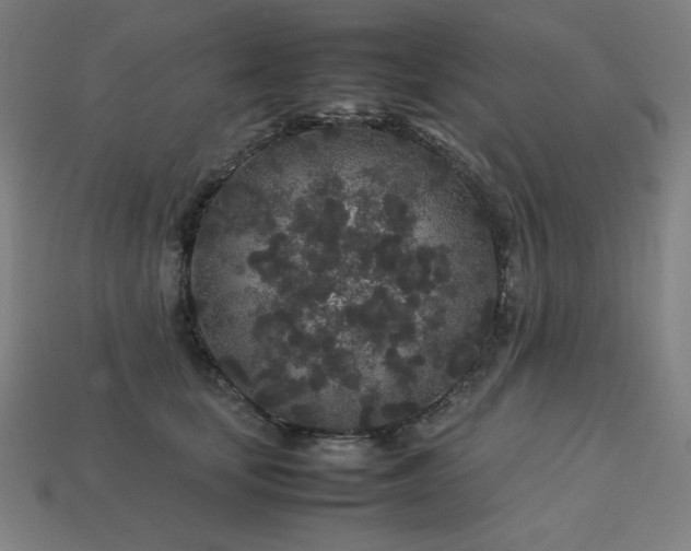 X0000113760659200909231206
