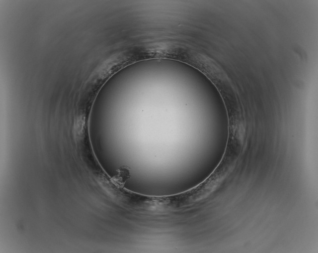 X0000113760660200909231206