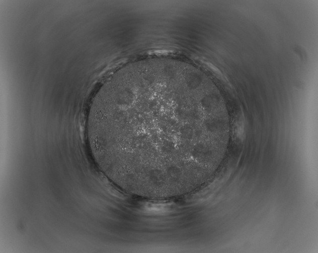 X0000113760661200909231206
