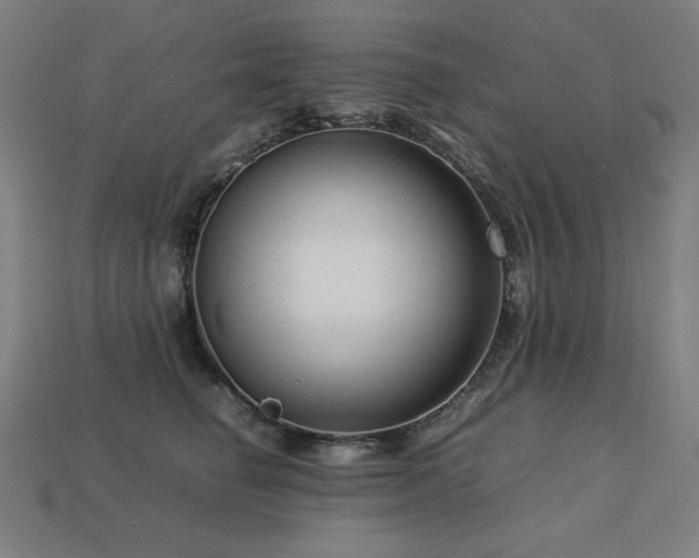 X0000113760662200909231206