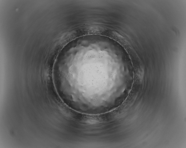 X0000113760663200909231206