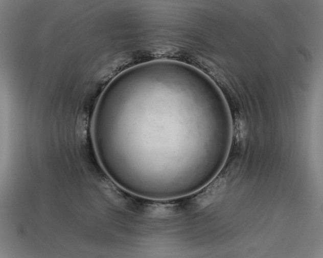 X0000113760664200909231206