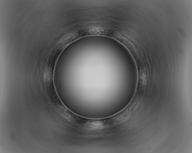 X0000113760665200909231206