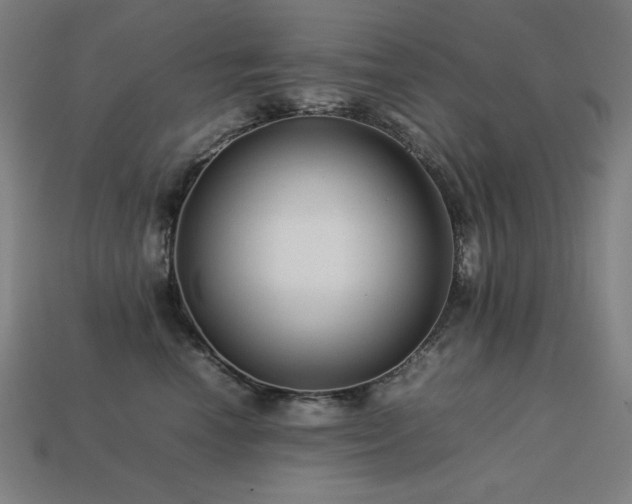 X0000113760666200909231206