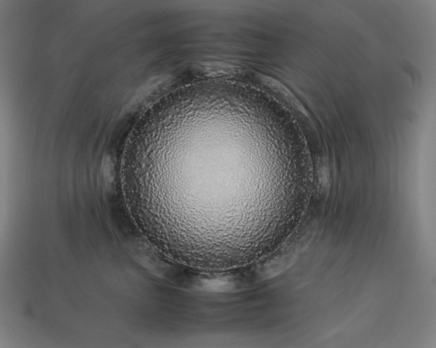 X0000113760667200909231206