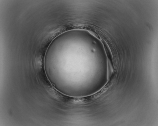 X0000113760668200909231206