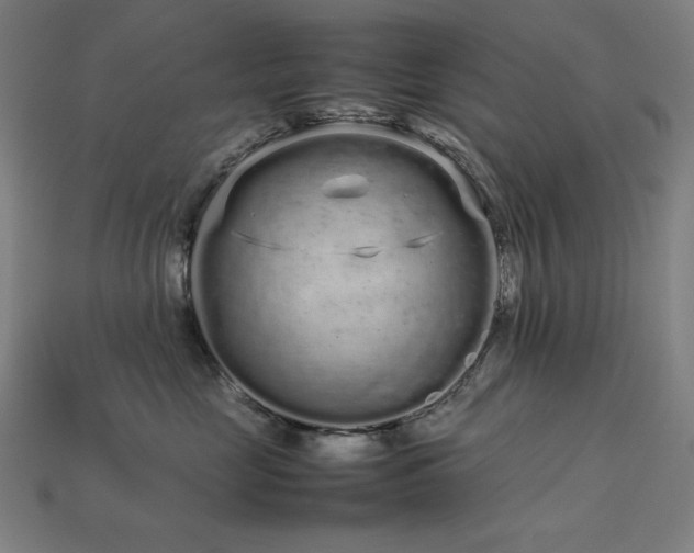 X0000113760669200909231206