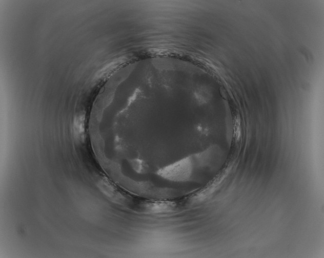 X0000113760670200909231206