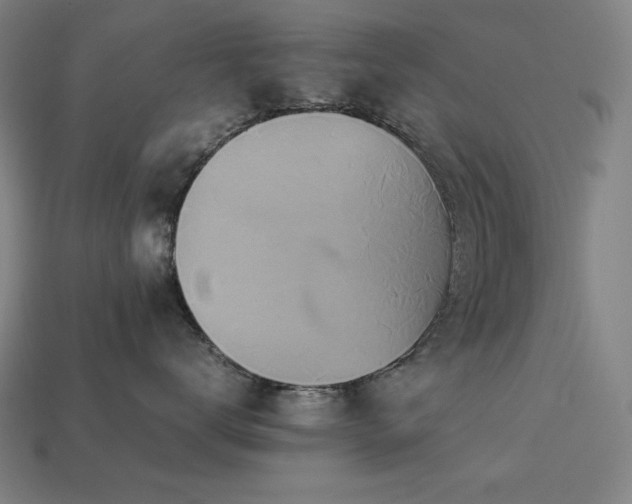 X0000113760672200909231206