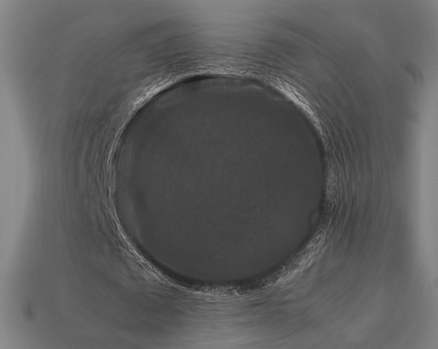 X0000113760673200909231206