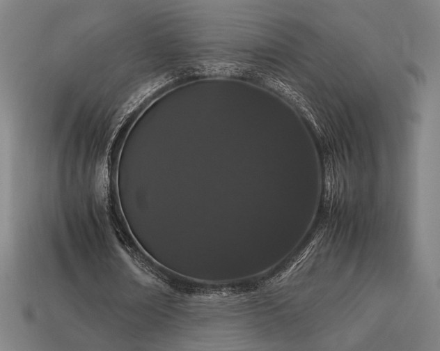 X0000113760674200909231206