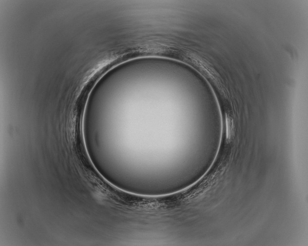 X0000113760675200909231206