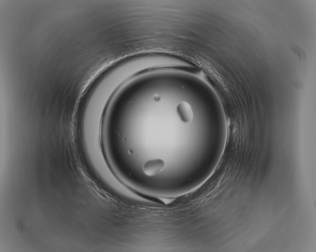 X0000113760676200909231206