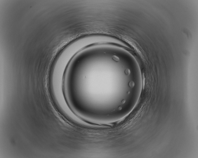 X0000113760677200909231206