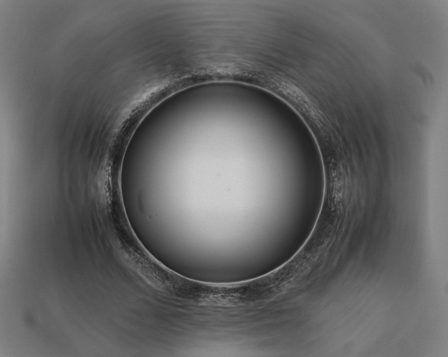 X0000113760680200909231206