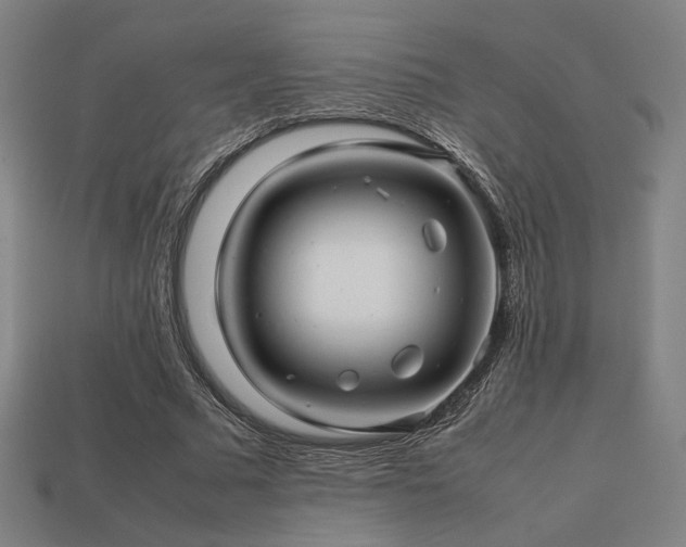 X0000113760681200909231206