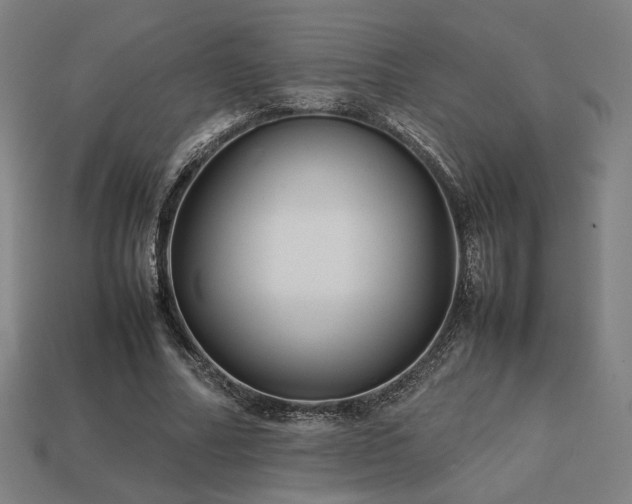 X0000113760682200909231206