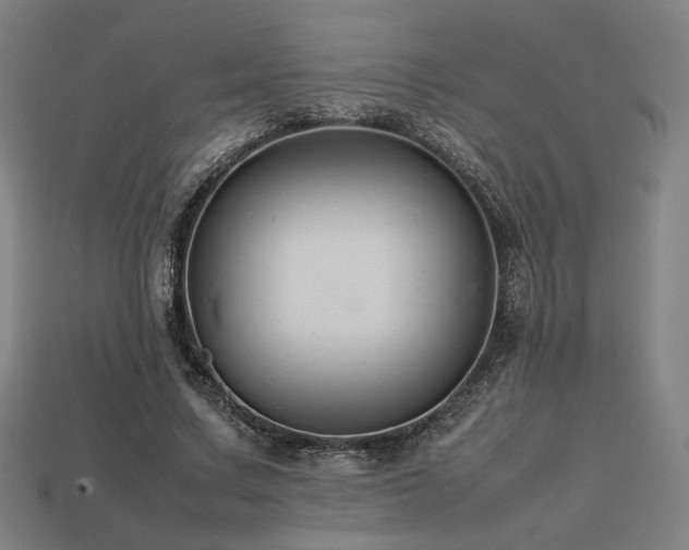 X0000113760683200909231206