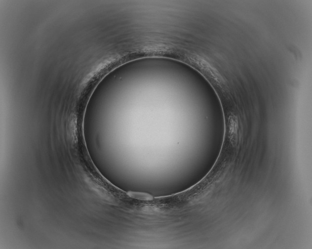 X0000113760684200909231206