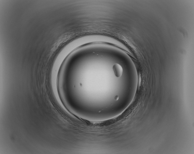 X0000113760685200909231206