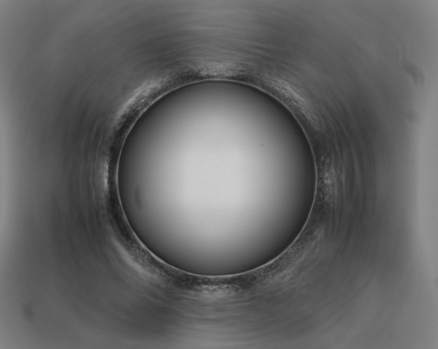 X0000113760686200909231206