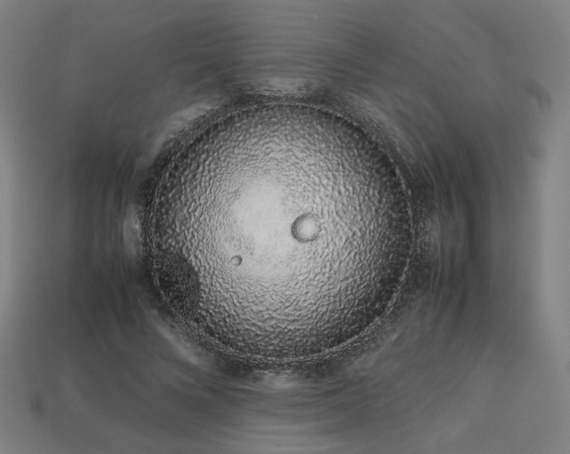X0000113760688200909231206