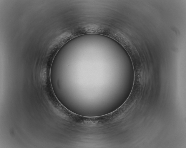 X0000113760690200909231205