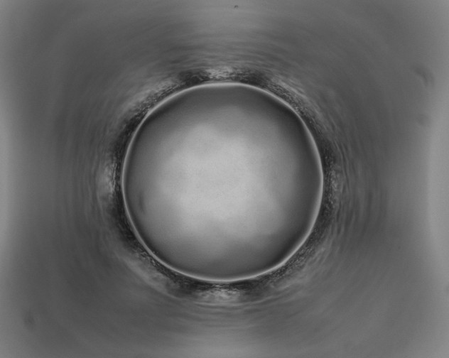 X0000113760691200909231205