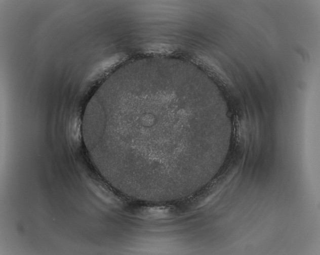 X0000113760692200909231205