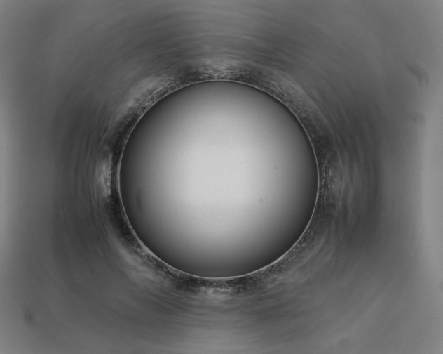 X0000113760694200909231205