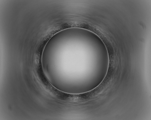 X0000113760695200909231205