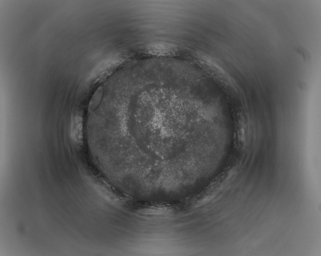 X0000113760696200909231205