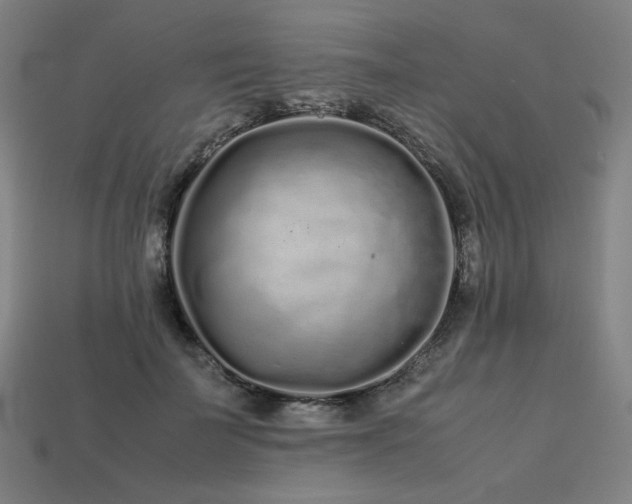 X0000113760699200909231205