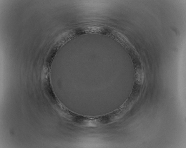X0000113760701200909231205