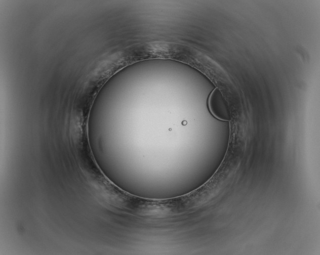 X0000113760702200909231205