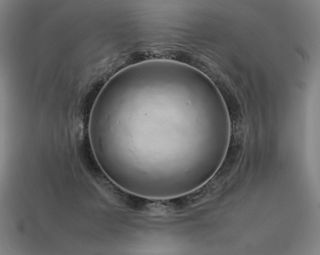 X0000113760703200909231205